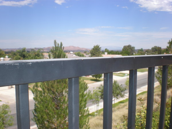 Backyard Privacy and VIEW