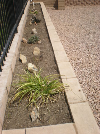 More Planter Boxes