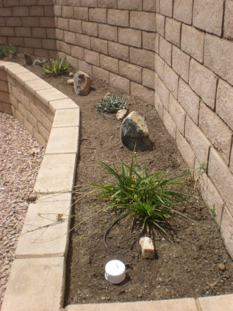 Planter  Boxes